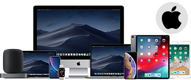 Braun, Daugherty and Bernier